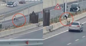 Pamje tronditëse: Këmbësorët që sfidojnë vdekjen duke kaluar mes trafikndarëseve