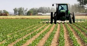 Abuzime me skemën e mbështetjes për fermerët, pezullohen 2 inspektorë të AZHBR-së dhe 6 veterinerë të DBP-së