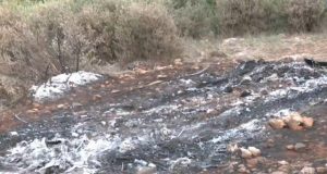 Vrasja në Greqi/ Autoritetet greke nisin analizat e ADN-së për identifikimin e viktimës