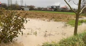 Niveli i ujit në nivele alarmante/ Përmbyten arat në fshatrat e Krujës, kanalet kulluese jashtë funksionit