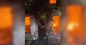 Ndodh gjatë natës/ Përfshihet nga flakët banesa në Malësinë e Madhe, shtëpia e shkrumbuar tërësisht