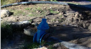 Vlora sërish pa ujë, reagon Ujësjellësi: Na vodhën saraçineskën…