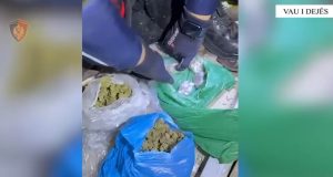 Vau i Dejës/Arrestohet 32-vjeçari që shiste kanabis në lokalin e tij
