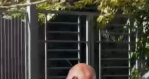 Ndërhyrje e paligjshme në sistemet e SPAK/ Agim Ismaili dhe dy të tjerë dërgohen për gjykim