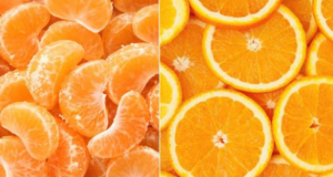 Portokallet apo Mandarinat: Cili agrum ofron më shumë vitamina?