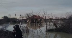 Lumi Seman del nga shtrati, përmbytje në Libofshë: Rreth 20 banesa nën ujë, dëme të mëdha në bujqësi
