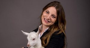 “Çobania e politika s’kanë shumë ndryshim”/ Koçeku përfshihet në debat online, komentuesit: “Na quajte dele?”