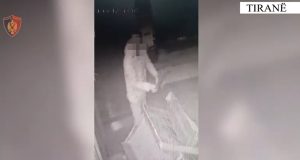 Vidhnin lokale e dyqane në Tiranë, 5 në pranga e 3 në kërkim