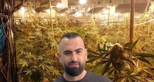 Magazina e kanabisit në Peqin, pezullohen nga detyra shefi i Komisariatit dhe Shefi i Krimeve