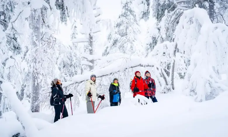 finland-780x470
