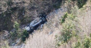 Makina bie në greminë në Tepelenë, shpëton për mrekulli shoferi (Foto)