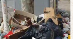 Bashkia “në gjumë”/ Nga qendra në periferi, Tirana e pushtuar nga plehra