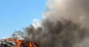 I gjithë vendi në tym/ Flakët në Bushat ende aktive, në terren zjarrfikëse nga Shkodra, Lezha dhe Kamza