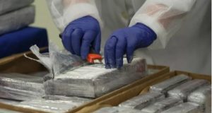 Po trafikonte 7 kilogramë kokainë të pastër, arrestohet shqiptari në Itali