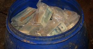 Fermeri kolumbian gjen 600 milionë dollarë nga paratë e drogës të Pablo Escobar në fermën e tij