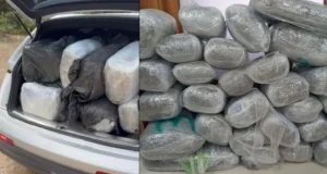 Arrestohet shqiptari në Janinë pas ndjekjes filmike, kapen me 167 kg marijuanë