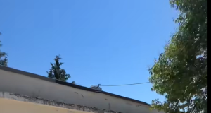 Deputeti Korreshi publikon pamje nga spitali i Lushnjës: Kushte skandaloze në lavanteri