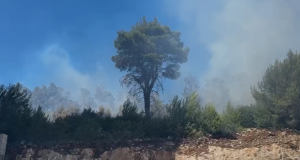Zjarr pranë Ranës së Hedhun në Shëngjin, situata vihet nën kontroll