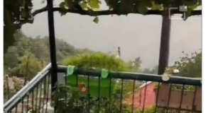 Breshëri si dëborë godet Kolonjën, dëmtohen rëndë vreshtat në Kamnik