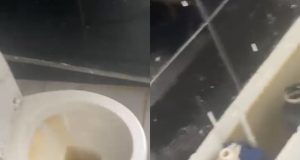 Spitali i Peshkopisë në kushte skandaloze/ “Ujë me kova si në mesjetë”