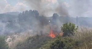 Zjarr pranë Inceneratorit të Elbasanit, flakët përfshijnë shkurret buzë Shkumbinit