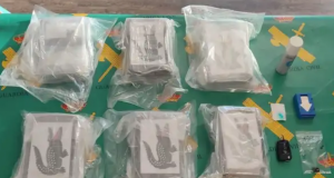 Kokainë nga mafia shqiptare apo nga Sinaloa? Argjentina në alarm nga pakot me logon e krokodilit