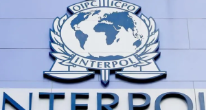 Interpoli zbulon rrjetet e mashtrimit online: 142 mijë viktima dhe miliona dollarë të humbura