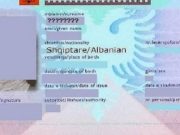 Çfarë duhet të bëni nëse humbni dokumentet? Hapat për ID, pasaportën dhe lejen e drejtimit