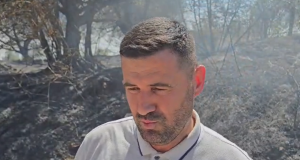 Zjarri pranë zonës së banuar në Fier, Mbrojtja Civile: Situata problematike, prioritet mbrojtja e banesave