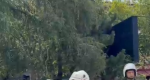 Protesta para Parlamentit, policia shoqëron me forcë protestuesin Arben Kola