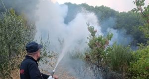 Zjarret në Shqipëri/ 30 vatra në 24 orë, 8 mbeten aktive: Ndërhyrje nga toka dhe ajri
