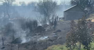 Zjarri në Kodër Rrëshen, ja dëmet që shkaktuan flakët pranë banesave