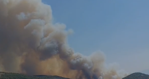 Zjarr pranë banesave në Kodër Rrëshen, flakët afrohen pranë zonave të banuara