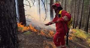 Zjarret në Shqipëri, 7 vatra aktive: situata më problematike në Pukë