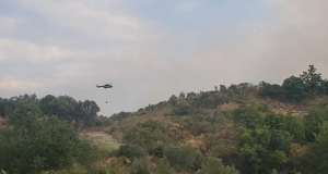 Zjarret në Shqipëri, situatë alarmante në disa qarqe! Vijon beteja me flakët në Mallakastër