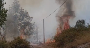 Zjarr i madh në Klos, digjen 3 banesa – rrezikohen edhe dy të tjera