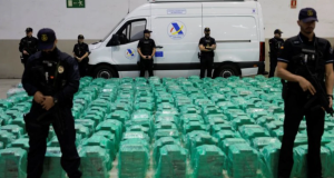 Spanja sekuestron mbi 1.2 ton kokainë të fshehur në një ngarkesë me arra kokosi