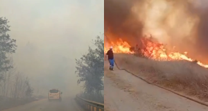 Flakët mbulojnë Qafën e Koshovicës, bllokohet qarkullimi në aksin Fier-Levan