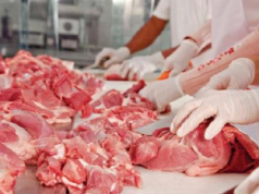 Nga nëntori pritet rritja e çmimeve të mishit, ai i viçit deri në 1,700 lekë/kg