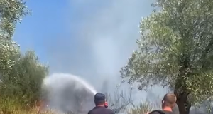 Zjarret në Shqipëri/ 32 vatra në 24 orë, vetëm 1 mbetet aktive