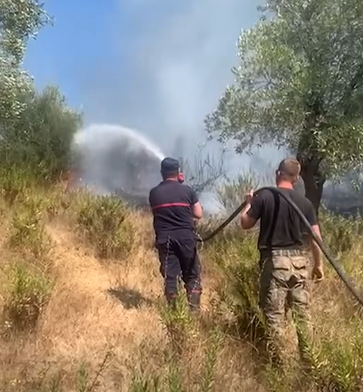zjarre