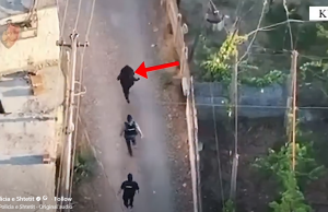 I armatosur, përplasi makinën e Policisë gjatë arratisjes, arrestohet 27-vjeçari në Mamurras /EMRI