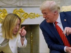 Trump për Melonin: Më pëlqen, gjithmonë më ka pëlqyer