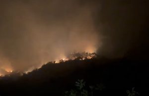 Zjarr i madh në Kotë të Selenicës, flakët rrezikojnë banesat